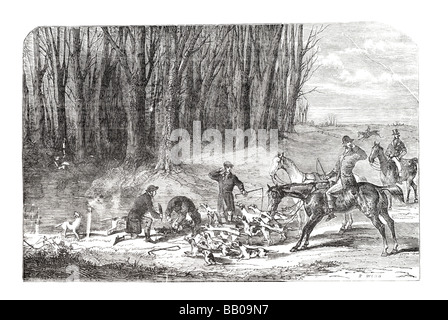 Fuchsjagd Whoo Whoop Tally ho Stockfoto