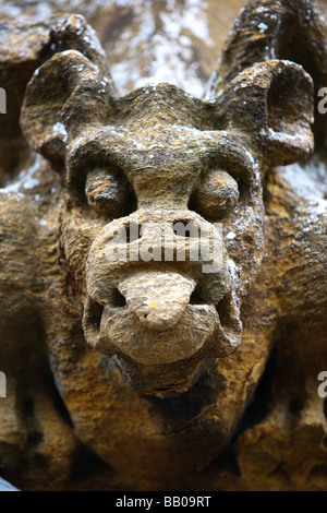 15. Jahrhundert Wasserspeier in St.Peters Kirche, Winchcombe, Gloucestershire. Stockfoto