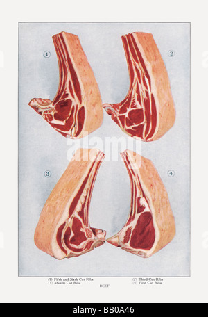 Rindfleisch: Rippen Stockfoto