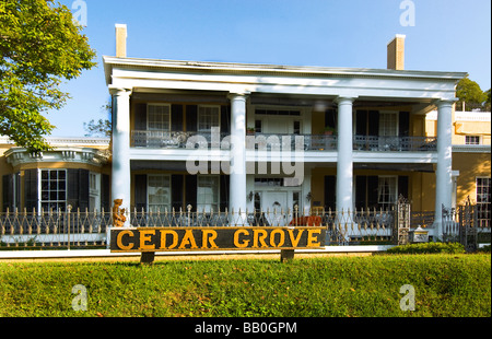 Cedar Grove ist ein Greek-Revival-Villa, erbaut in der Mitte der 1800er und ist jetzt ein Bed &amp; Breakfast Inn in Vicksburg, Mississippi Stockfoto