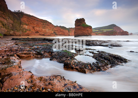 Otterton Sandsteinfelsen und Seastacks an der Ladram Bay South Devon England Januar 2009 Stockfoto