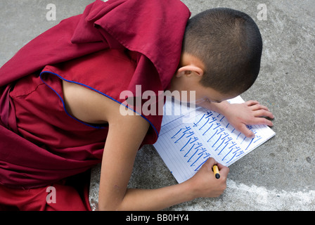 Novize Tibetisch schreiben. Tsechokling tibetisches Kloster. McLeod Ganj. Himachal Pradesh. Indien Stockfoto