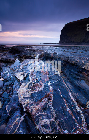 Quarzadern im Felsen Bett Crackington Hafen Cornwall England Februar 2009 Stockfoto