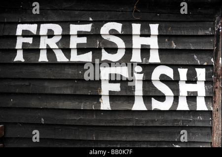 Fisch stand auf Hastings, East Sussex, UK Stockfoto