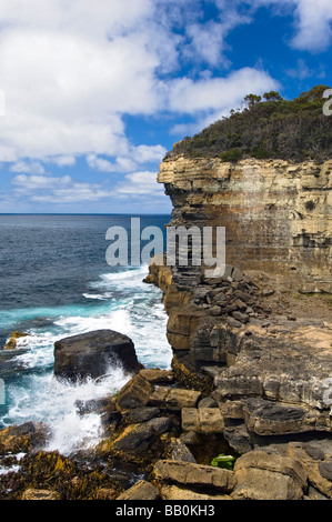 Teufel-Küche auf der Tasman Halbinsel, Tasmanien, Australien. Stockfoto