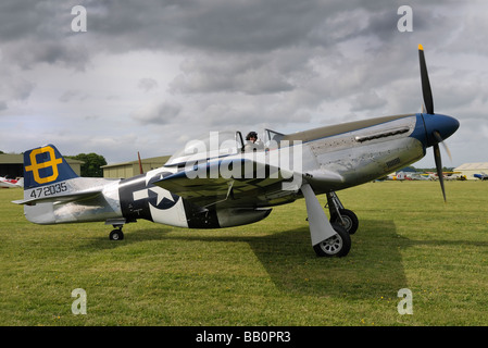 Mustang P51-D Stockfoto