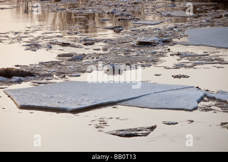 Vereisen Sie brechen im Frühjahr am gelben Fluss in Nordchina Stockfoto