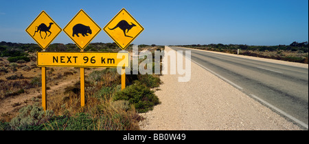 Eyre Highway, Nullarbor Plain Australien Stockfoto