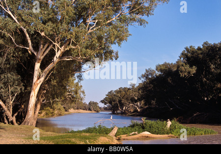 Cooper Creek, Südaustralien Stockfoto