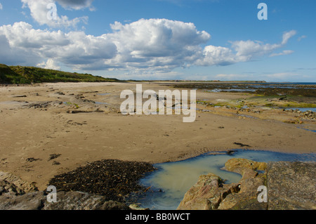 Beadnell Strand, Northumberland Stockfoto