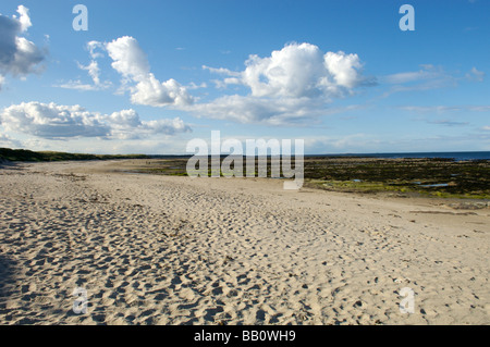 Beadnell Strand, Northumberland Stockfoto