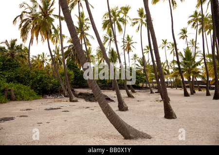 Puuhonua o Honaunau National Historical Park Stockfoto