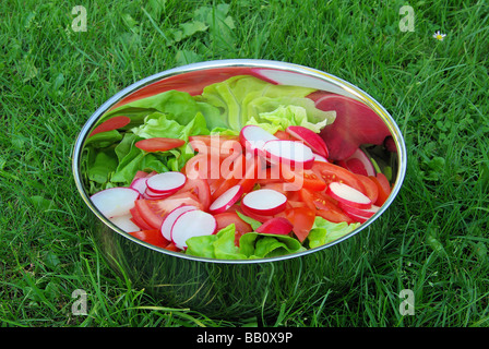Gemischter Salat gemischter Salat 03 Stockfoto