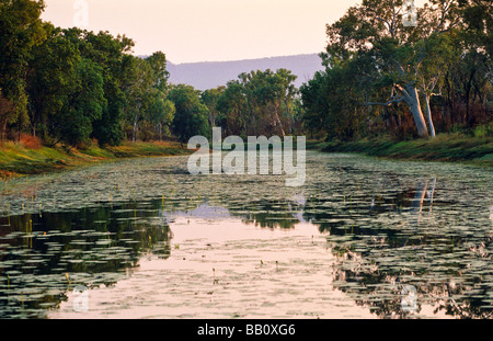 Lily Lagoon, Kimberley, Westaustralien Stockfoto