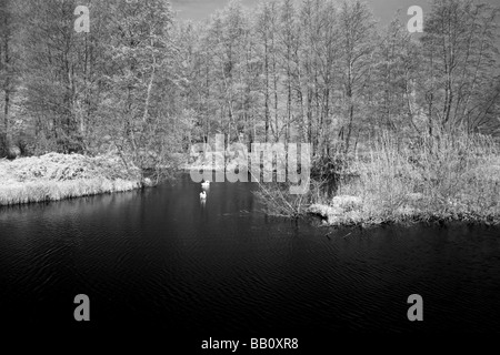 Bild über die "Great British" Landschaft im Infrarotbereich, Großbritannien erschossen. Stockfoto