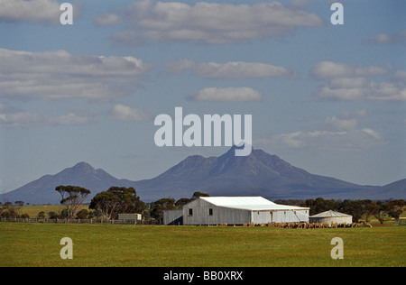 Scher Schuppen, Western Australia Stockfoto