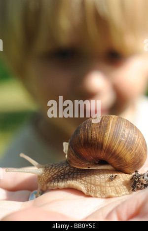 Frau s Hand mit Helix Pomatia Schnecke Europa Garten Stockfoto