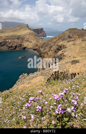 Ponta de Sao Lourenco Madeira Portugal Insel in der Mitte Atlantik Stockfoto