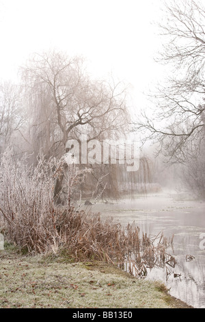 Hoare Frost im Meon Valley Stockfoto