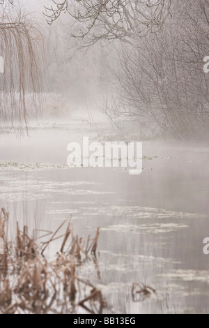 Hoare Frost im Meon Valley Stockfoto