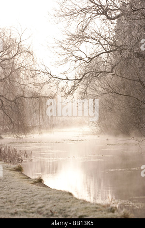 Hoare Frost im Meon Valley Stockfoto