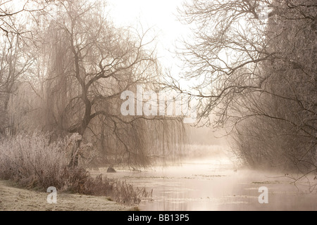 Hoare Frost im Meon Valley Stockfoto