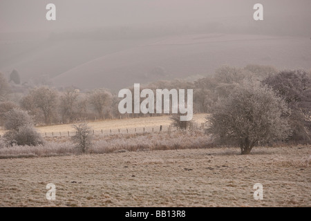 Hoare Frost im Meon Valley Stockfoto