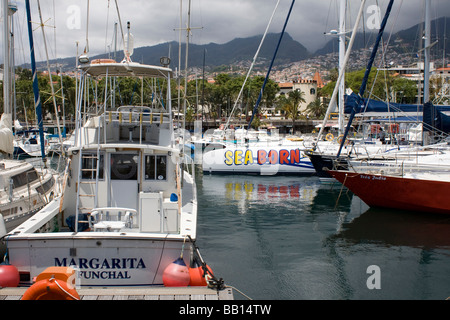 Marina Funchal am Meer Stadt portugiesische Insel Madeira im mittleren Atlantik Stockfoto