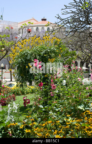 Funchal Madeira Meer Stadt portugiesische Insel im mittleren Atlantik Stockfoto