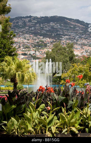 Stadtpark Funchal am Meer Stadt portugiesische Insel Madeira im mittleren Atlantik Stockfoto