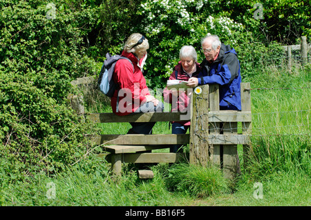 Wanderer pause an ein Land Stil um ihre Lesefähigkeiten Karte überprüfen Stockfoto