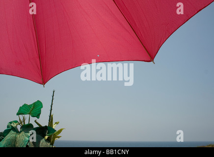 Sommerzeit-Schatten Stockfoto