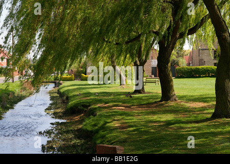 Village Green, neben einem Bach, Weidenbäume wehen in der Sommerbrise, grünes Gras und Bäume, Sommerumgebung, Flussufer, Sommer, Picknick-Gebiet Stockfoto