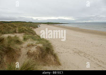 Bamburgh Strand, Northumberland Stockfoto