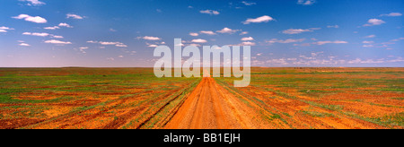 Strzelecki Track, Outback South Australia Stockfoto