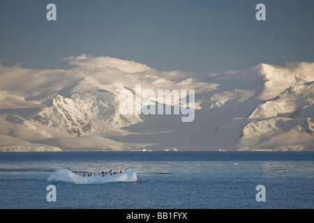 Antarktis, Errera Kanal. Gentoo Penguins ruhen auf kleinen Eisberg, wie Sonnenaufgang schneebedeckten Berge leuchten. Stockfoto