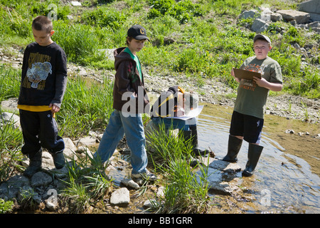 Fünfte Klasse Studenten Schüler studieren Ökologie eines Baches im Montgomery County, Bundesstaat New York Stockfoto