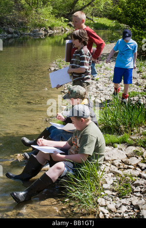 Fünfte Klasse Studenten Schüler studieren Ökologie eines Baches im Montgomery County, Bundesstaat New York Stockfoto