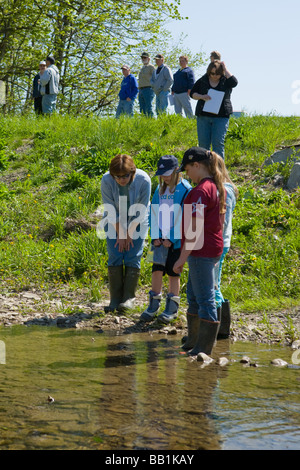 Fünfte Klasse Studenten Schüler studieren Ökologie eines Baches im Montgomery County, Bundesstaat New York Stockfoto