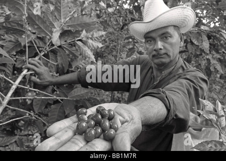 Nicaragua Matagalpa zentrale Lateinamerika Latino nicaraguanischen Kaffee Picker Mann Landarbeiter mit Cowboy-Hut Porträt schließen sich Herr Stockfoto