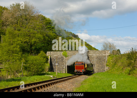 Dampfzug auf der Lakeside & Haverthwaite Railway, in der Nähe von Newby Bridge, Nationalpark Lake District, Cumbria, England UK Stockfoto