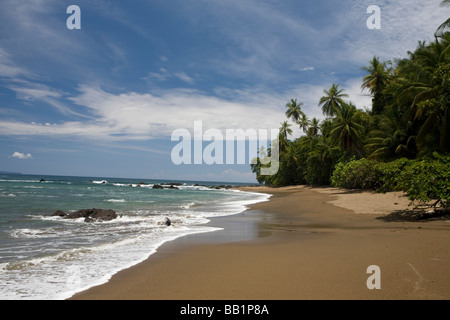 Die sandige Küste und Dschungel der Osa Halbinsel entlang Corcovado Nationalpark in Costa Rica. Stockfoto