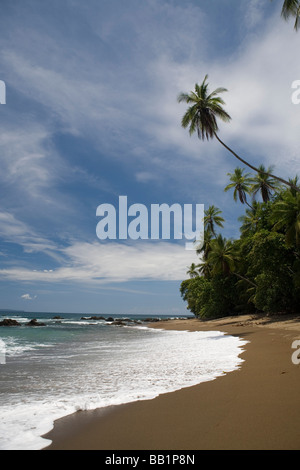 Die sandige Küste und Dschungel der Osa Halbinsel entlang Corcovado Nationalpark in Costa Rica. Stockfoto