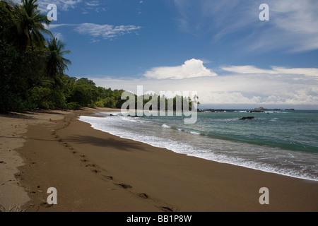 Die sandige Küste und Dschungel der Osa Halbinsel entlang Corcovado Nationalpark in Costa Rica. Stockfoto