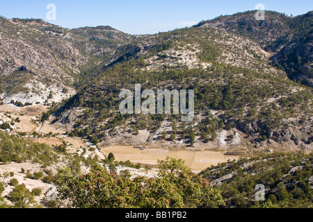 Luftaufnahme von einem typischen Tal im Copper Canyon Mexiko mit einer Tarahumara native Haus und Hof Stockfoto