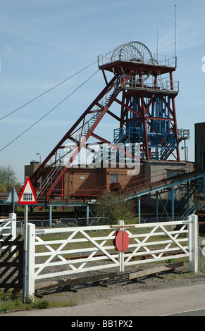 Zechenhaus und Wicklung Zahnrad, Snibston Discovery Park, Coalville, Leicestershire, England, UK Stockfoto