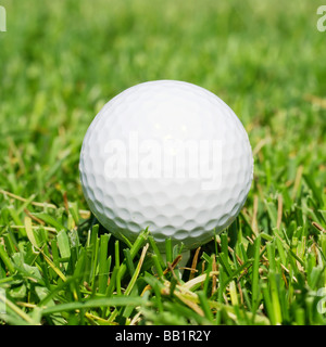 Golfball Gras hautnah Stockfoto