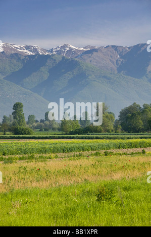 Mazedonien, Tetovo. SAR-Planina-Gebirge / Morgen Stockfoto