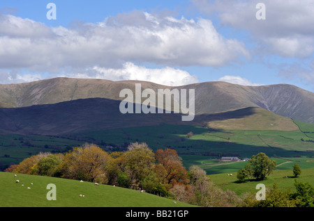 Die Howgill Fells betrachtet von Lambrigg, Cumbria, England, Vereinigtes Königreich, Europa. Stockfoto