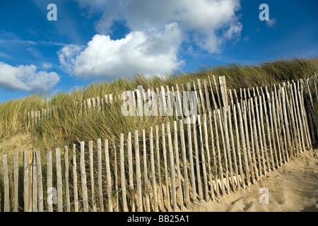 Düne und Küstenschutz mit Dünengebieten Grass in der Normandie Stockfoto